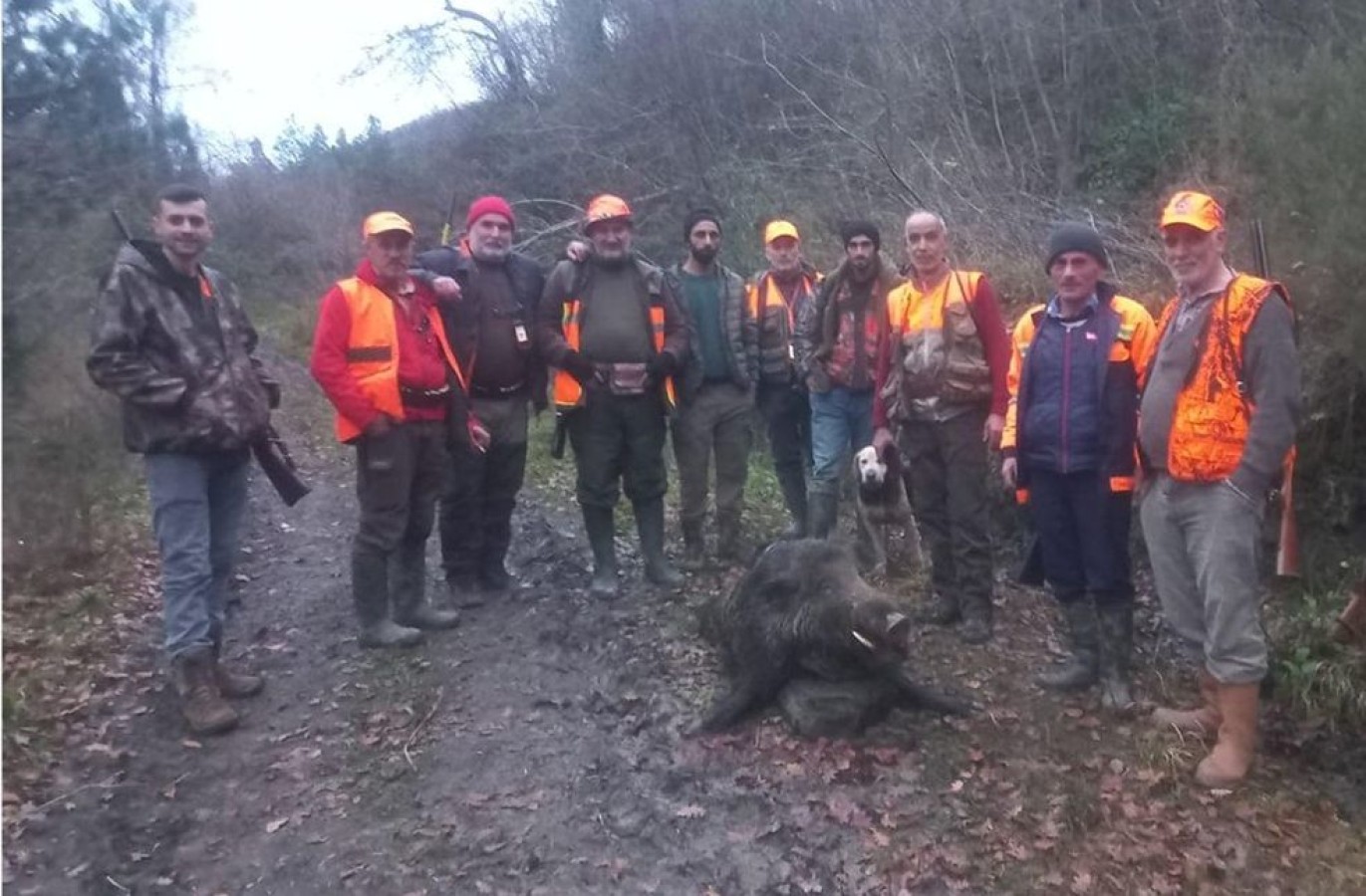 Kastamonu’da vuruldu!.. Avcıya saldırıp yaralamıştı;