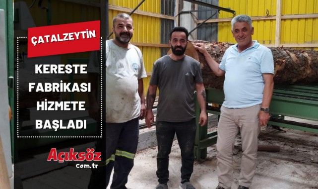 Çatalzeytin'de Kereste Fabrikası hizmete başladı;