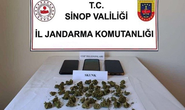 Jandarma uygulamasında ‘skunk’ ele geçirildi;