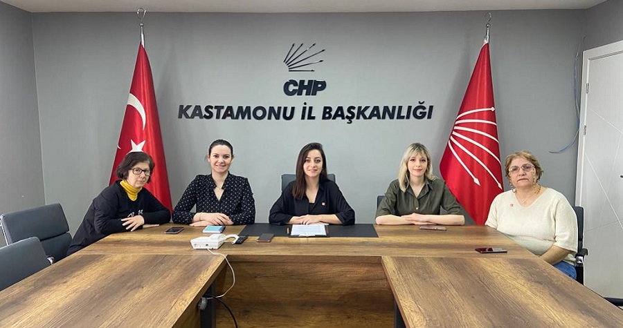 CHP Kadın Kolları'ndan 81 ilde basın açıklaması;
