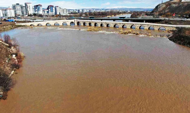 Irmaktaki hayvan leşleri kepçe ile kaldırıldı;