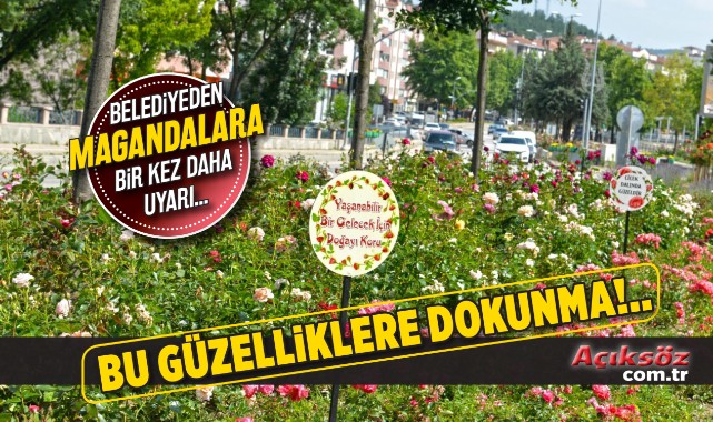 ‘Park magandaları’na uyarı!;