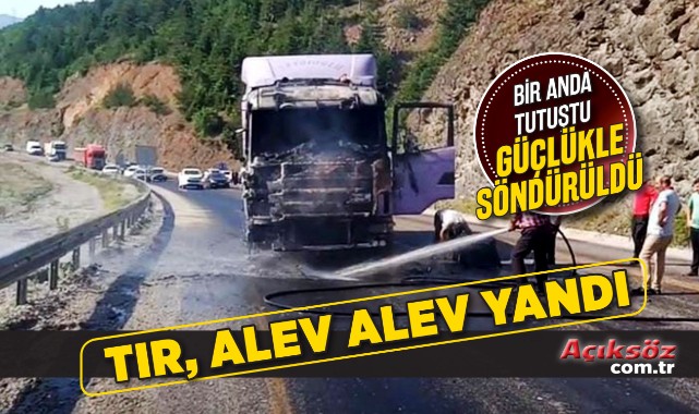 Seyir halindeki tır alev alev yandı;