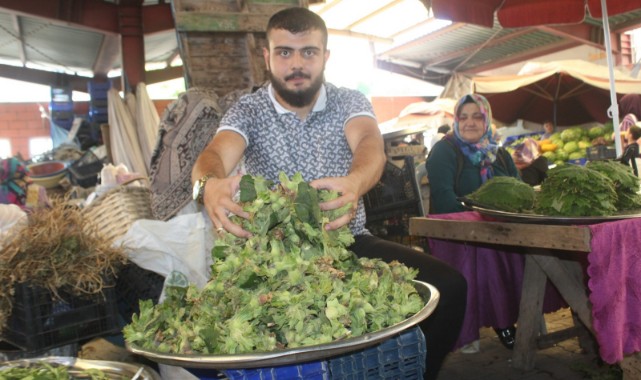 Kastamonu'da fındıklar tezgaha düştü;