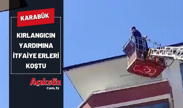 Kırlangıcın yardımına itfaiye erleri koştu;