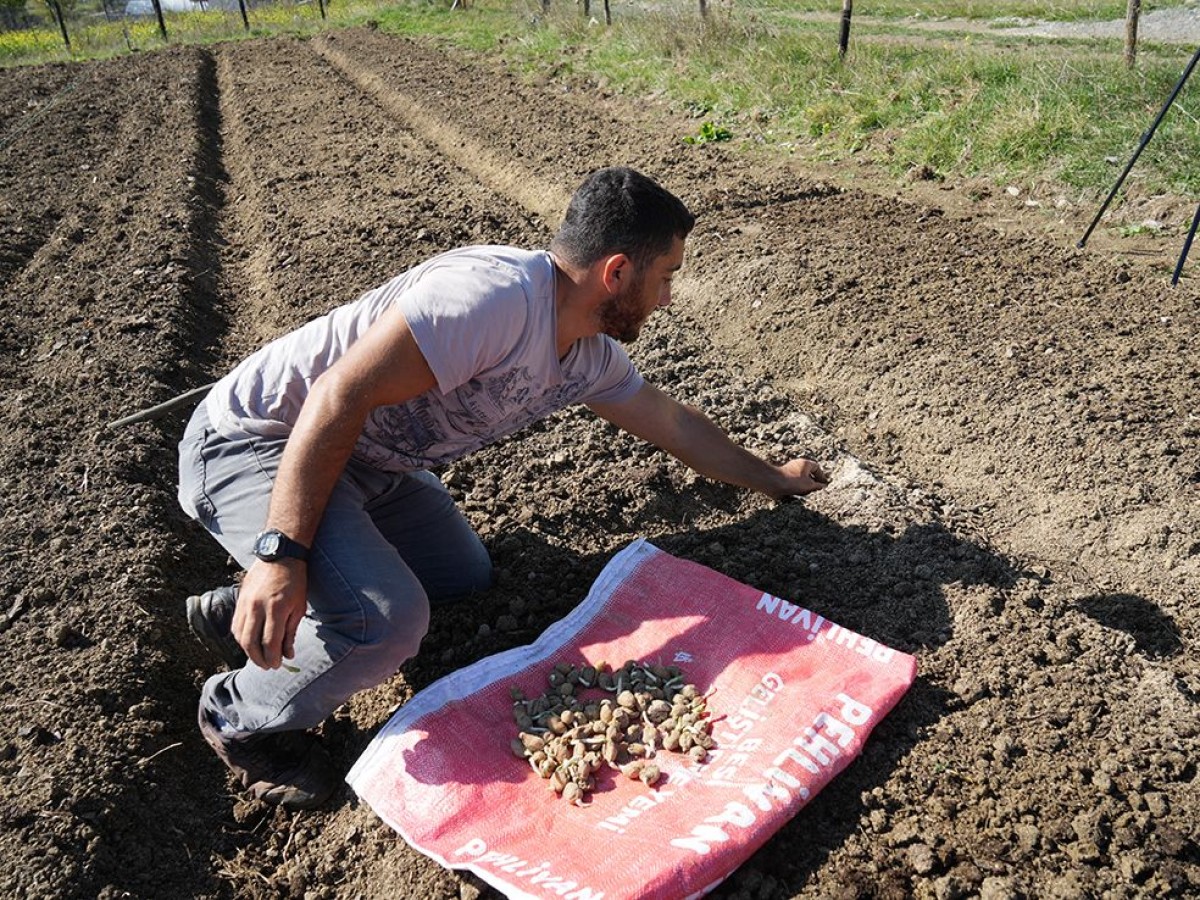 Çocukken annesiyle topluyordu, şimdi paraya para demiyor;