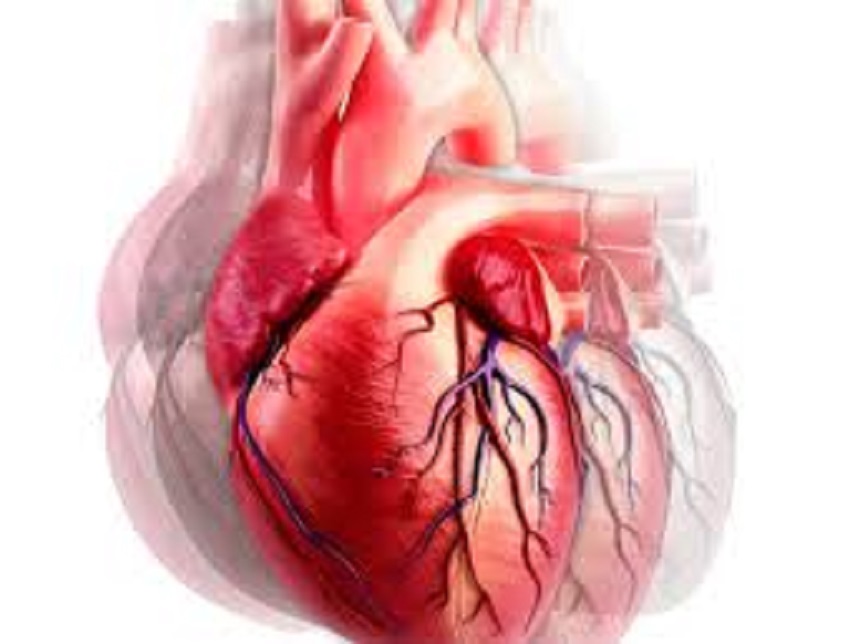 Kalp krizi neden olur ? kalp krizinin nedenleri nedir ?