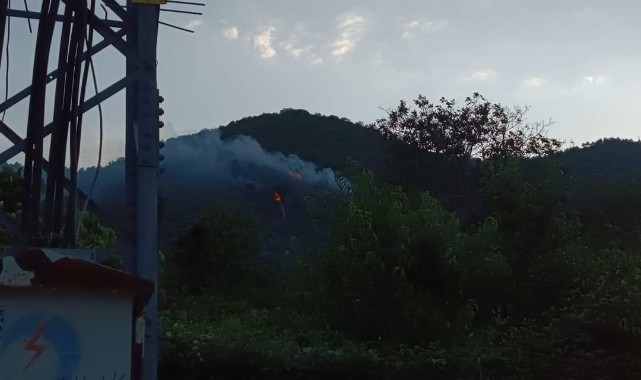 Tosya'da orman yanıyor...;