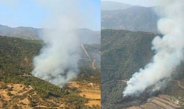 İzmir'de orman yanıyor!;