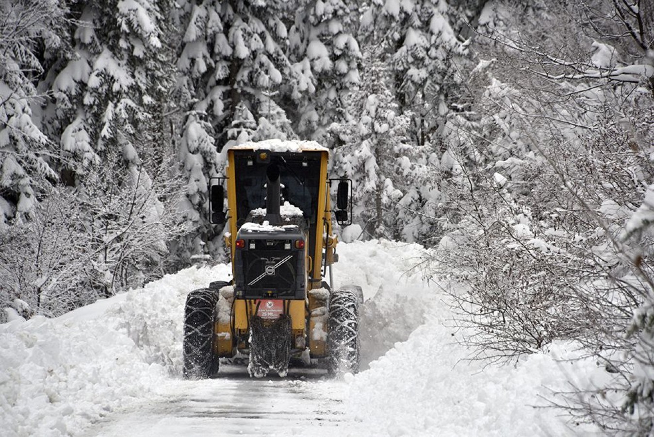 Kastamonu Özel İdare'den amansız mücadele!;