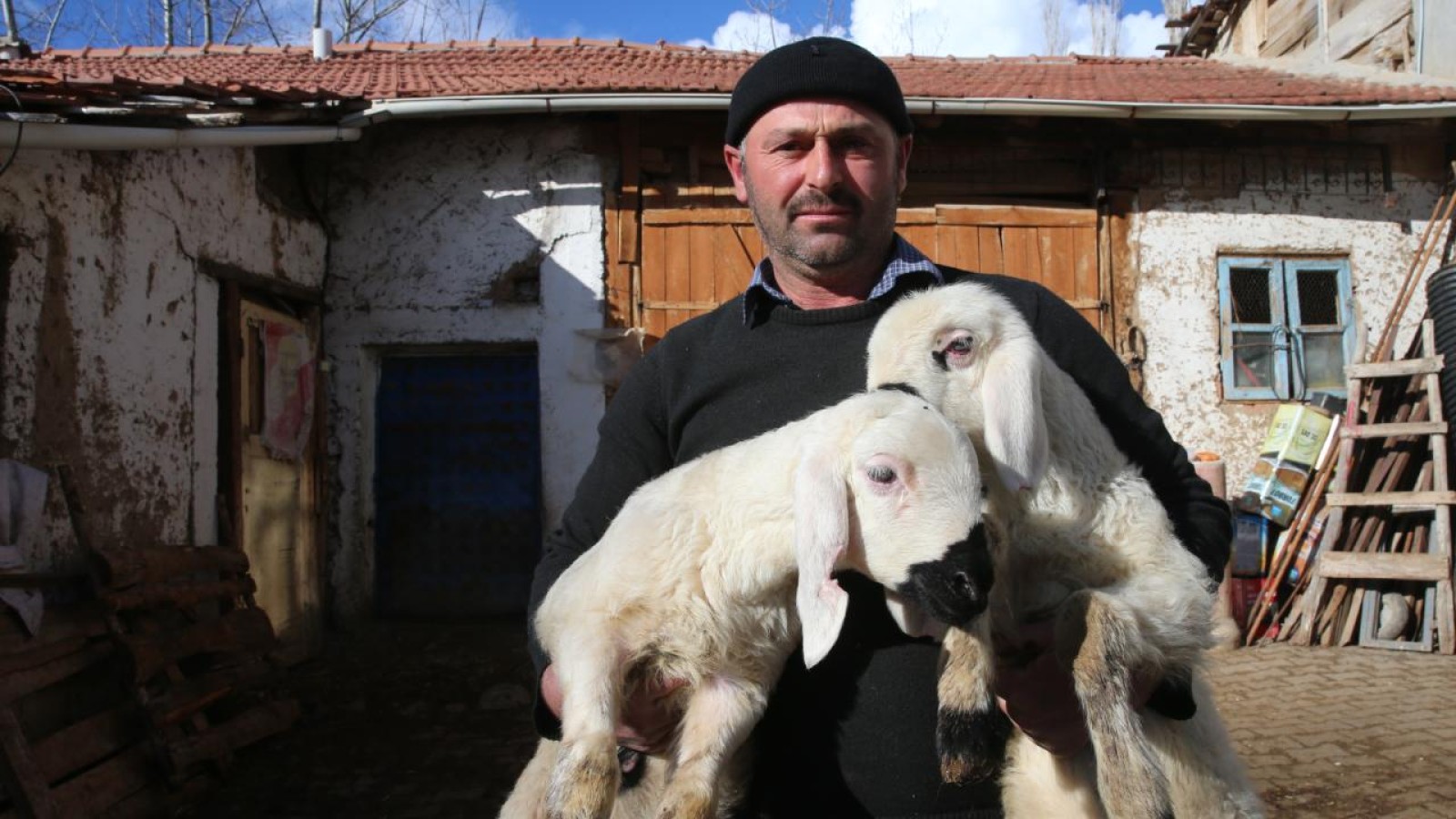 Hediye Koyunla Başlayan Kişi, Küçükbaş Hayvancılıkla Uğraşarak Sürü Sahibi Oldu