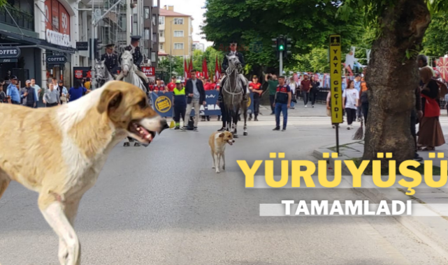 Yürüyüşçülere kilometrelerce eşlik etti;