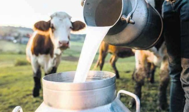 Süt üretimi 115 bin tona düştü