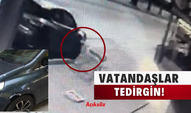 Beyçelebi Mahallesi’nde köpek saldırısı [VİDEO];