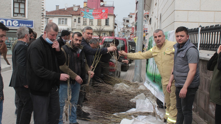 İnebolu'da vatandaşlara ücretsiz meyve fidanı dağıtıldı;