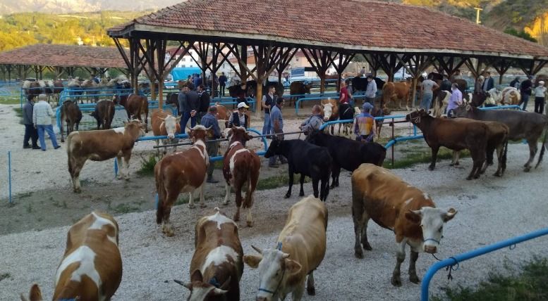 Kastamonu’da hastalık alarmı; Süresiz kapatıldı;