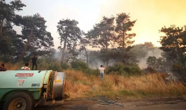 Hatay, Mersin ve Çanakkale'deki orman yangını devam ediyor! Sabah müdahale daha da hızlandı, işte son durum;