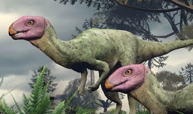 45 Milyon Yıllık Yeni Bir Dinozor Türü Tayland’da Keşfedildi