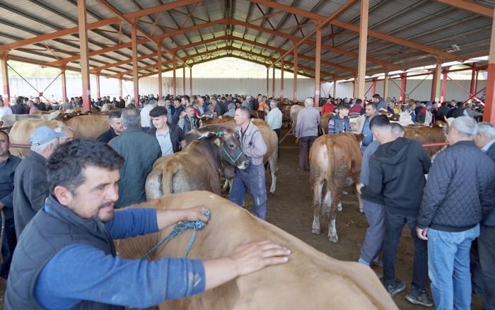 Kastamonu Hayvan Pazarı kapılarını yeniden açıyor!;