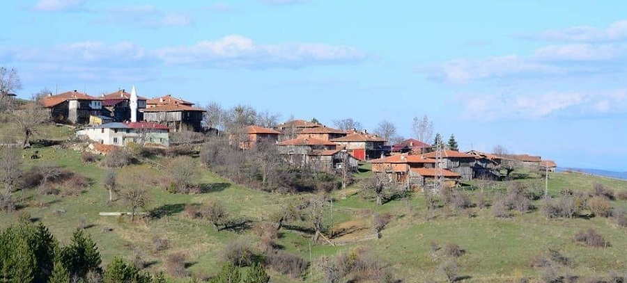 Boş köye hırsız dadandı;