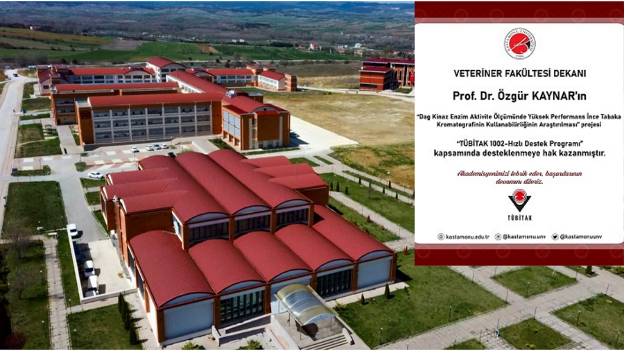 Kastamonu Üniversitesi'nin projesine TÜBİTAK desteği;