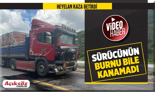 Yoldaki kayaya çarpan tır pert oldu;