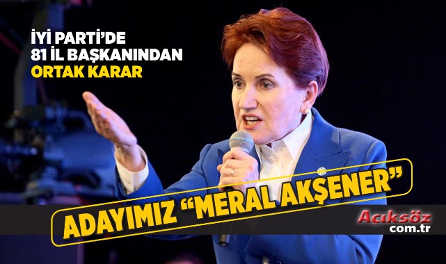 İl başkanları 'Akşener' dedi;