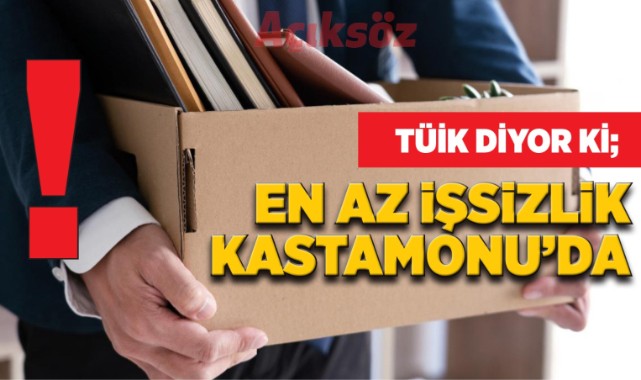 TÜİK diyor ki; En az işsizlik Kastamonu’da!