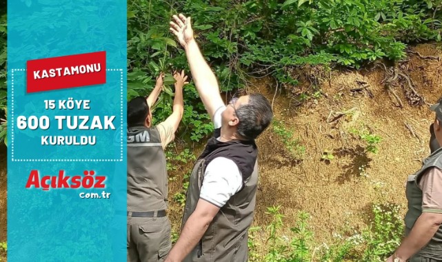 Kastamonu'da 15 köye 600 tuzak;