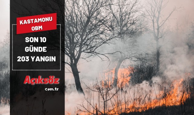 Kastamonu OBM açıkladı: Son 10 günde 203 yangın;
