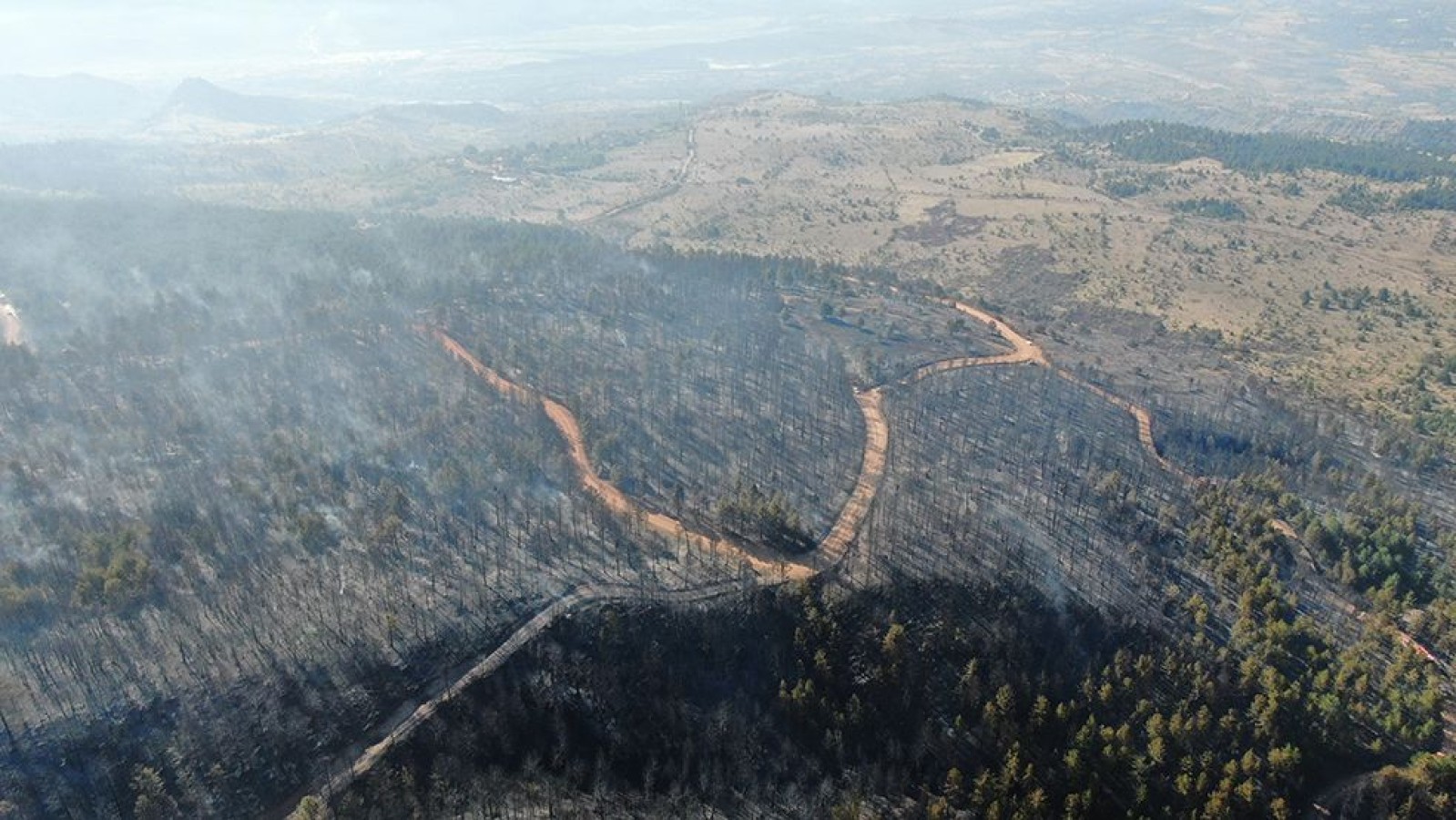 Ilgaz’da yürek yakan manzara! 44 hektar kül oldu;