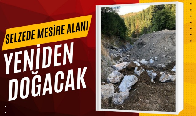 Selzede mesire alanı yeniden doğaya kazandırılacak;