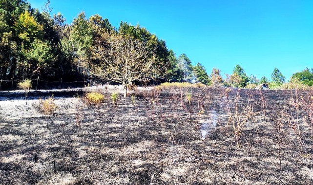 Doğanyurt’taki orman yangını söndürüldü