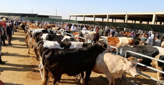 DİKKAT! Kastamonu İl Müdürlüğü açıkladı!;