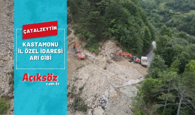 Kastamonu İÖİ, Çatalzeytin'de arı gibi;