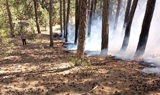 Kastamonu’da orman yangını; ekipler sevk edildi…;