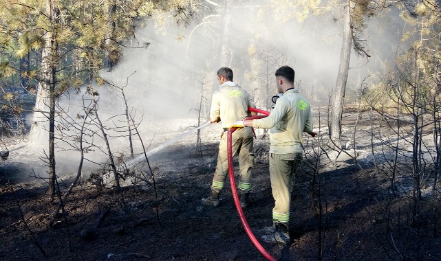 Kastamonu’da orman yangını kontrol altına alındı;