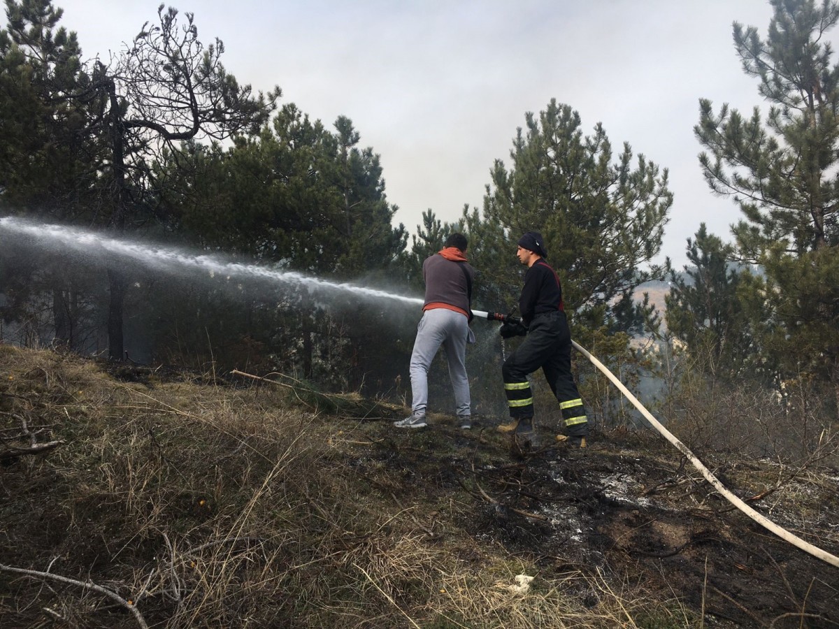 Çöp yerine ormanı yaktı;