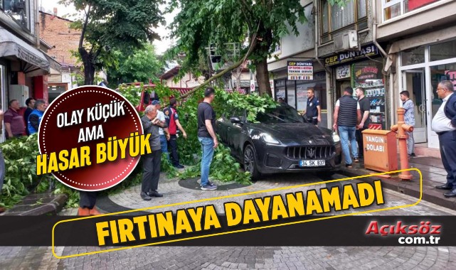 Kırılan ağaç dalı, lüks otomobilin üzerine düştü;