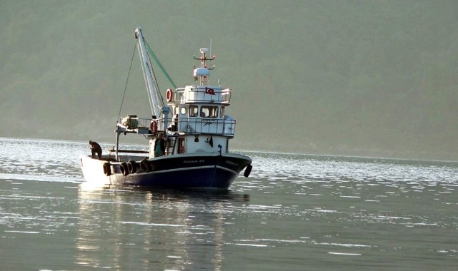 Karadeniz’de korkutan sessizlik!.. Balıkçılar eli boş dönüyor;